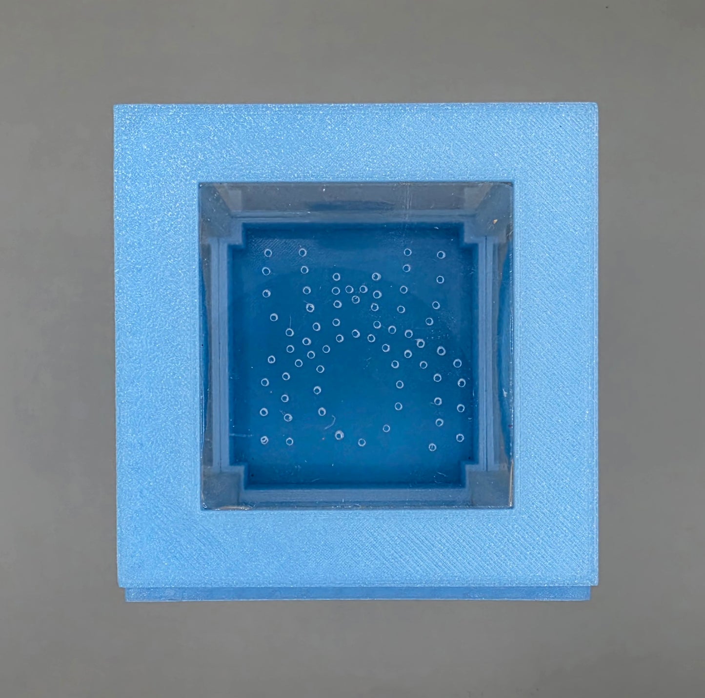 3d Printed Acrylic Jumping Spider Enclosure (Jelly Blue) 4"x4"x6"