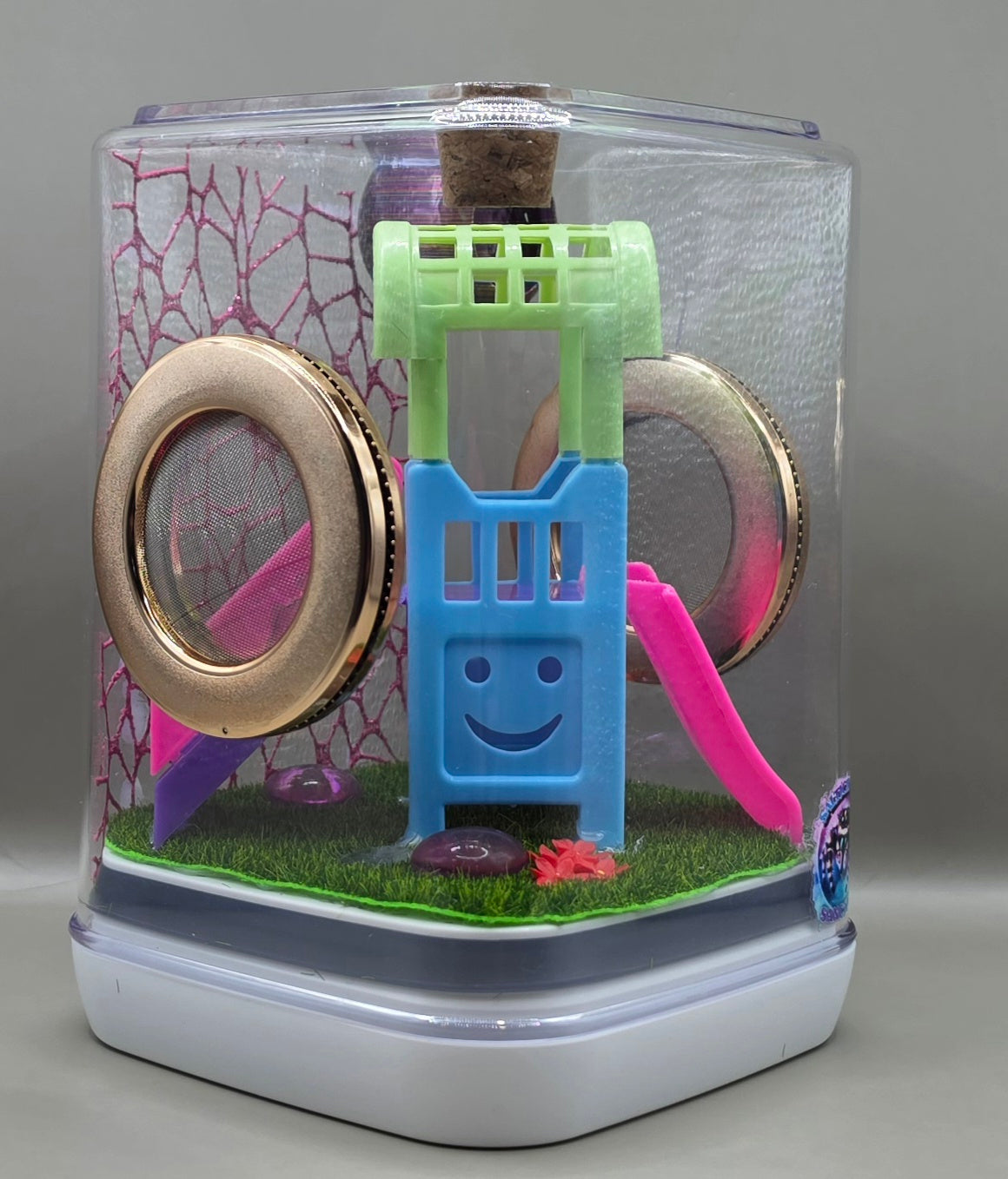 Playground Jumping Spider Enclosure