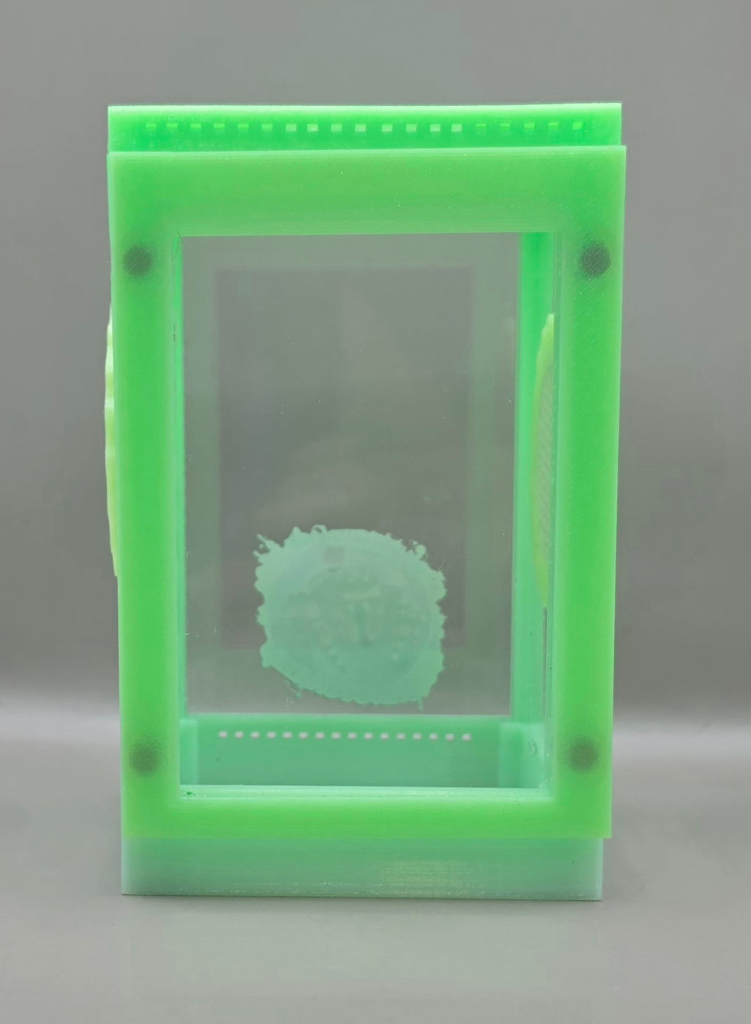 3d Printed Acrylic Jumping Spider Enclosure (Jelly Green) 4
