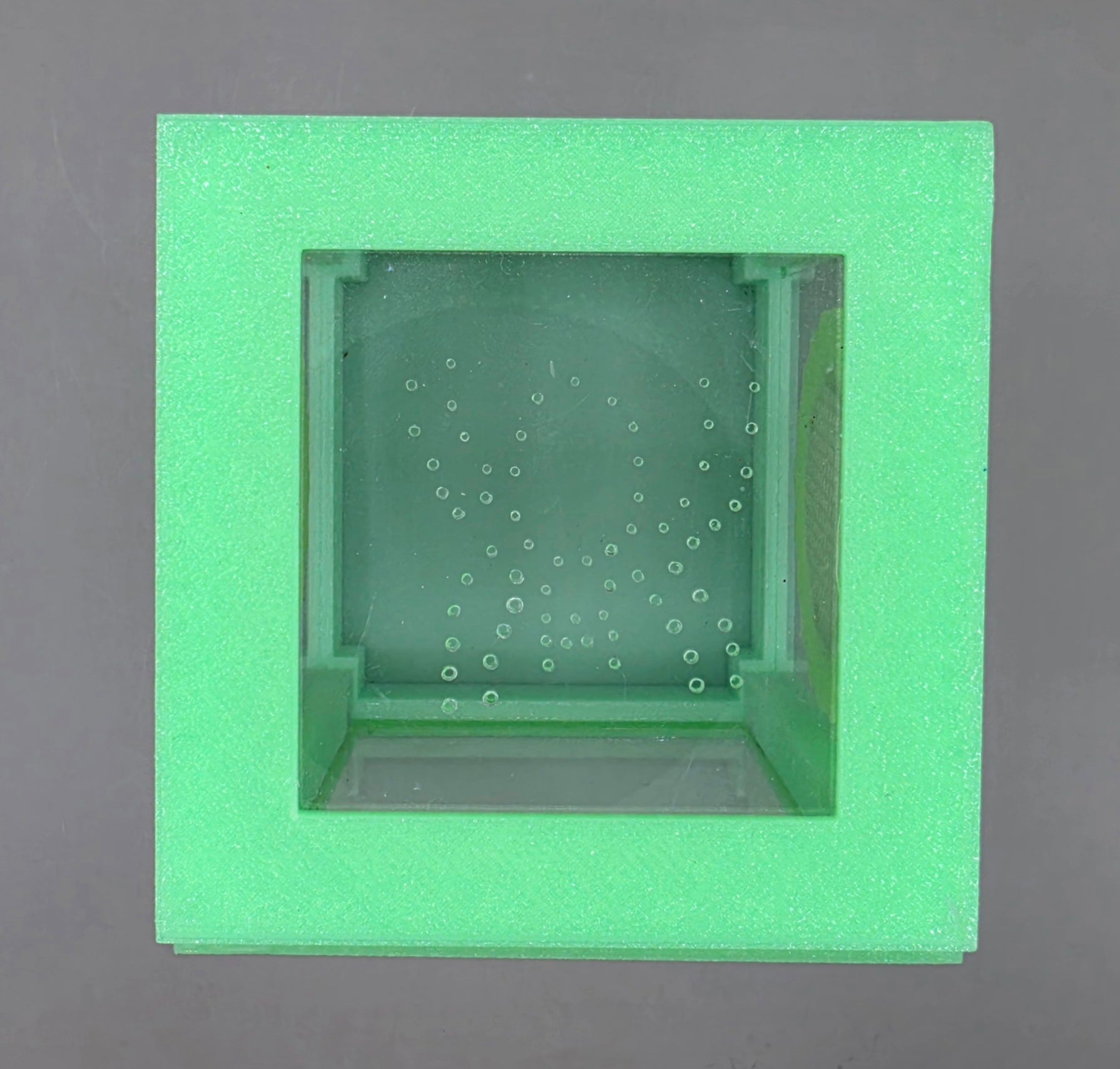 3d Printed Acrylic Jumping Spider Enclosure (Jelly Green) 4