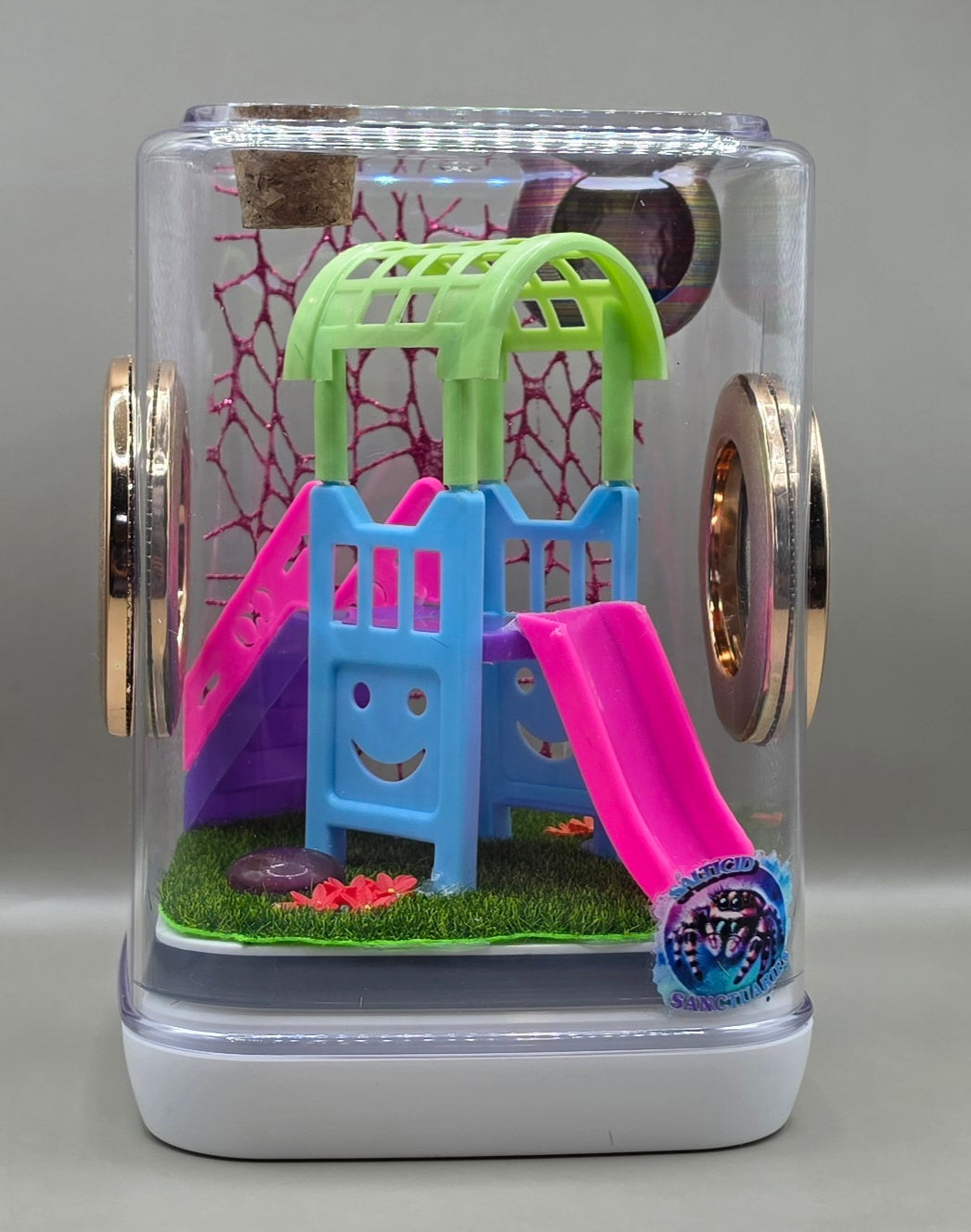 Playground Jumping Spider Enclosure