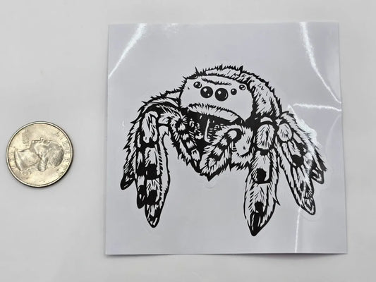 Black Outline Jumping Spider Decal