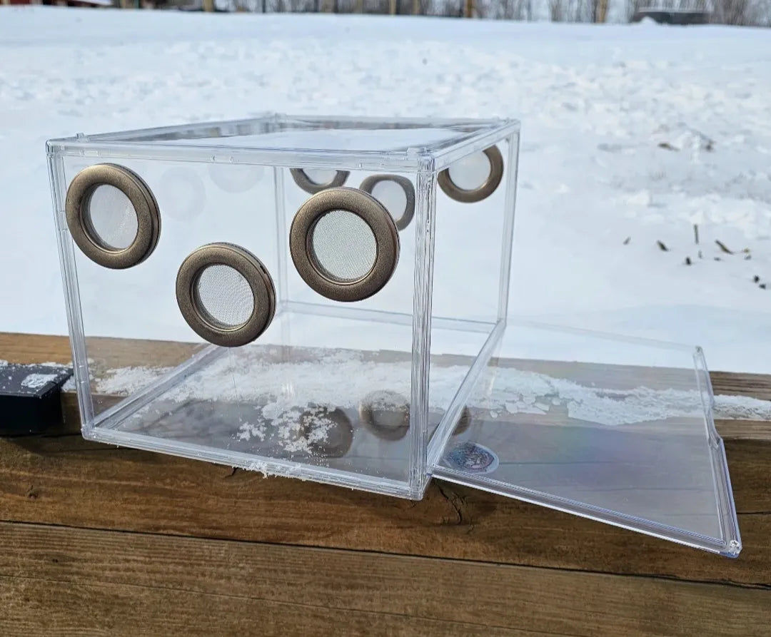Large Terrestrial Enclosure