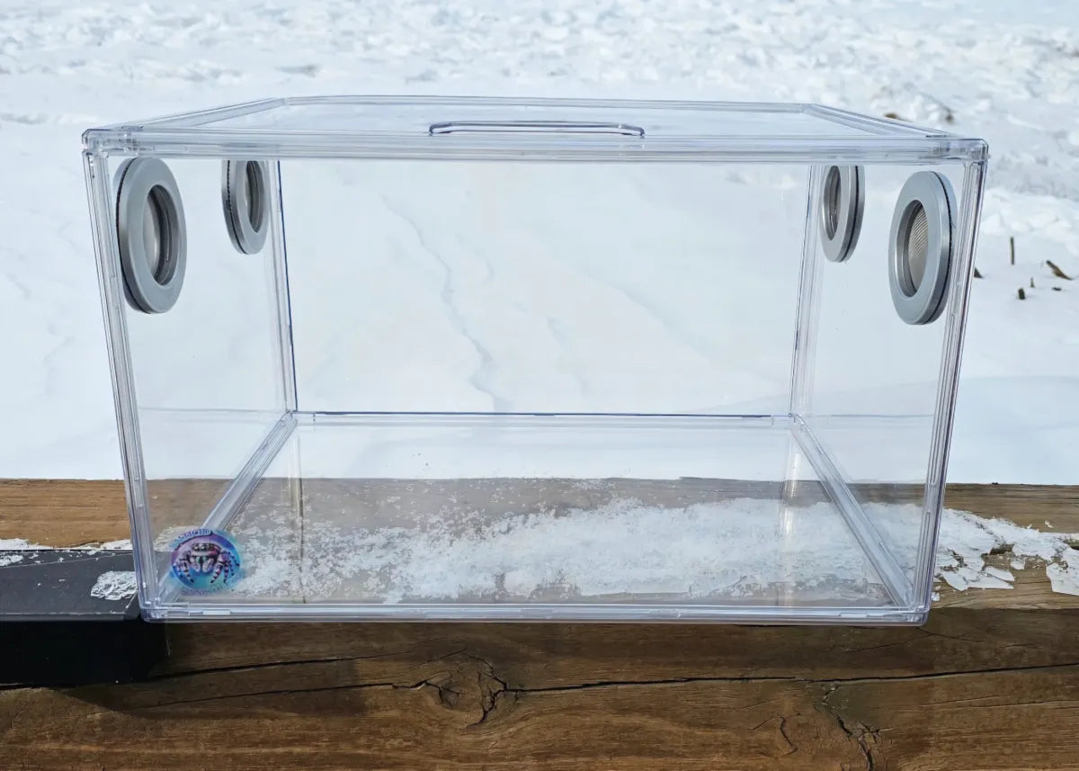 Large Terrestrial Enclosure