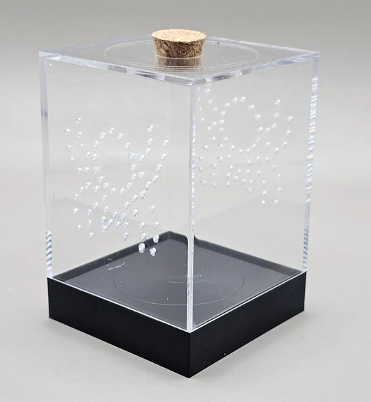 Acrylic Arboreal Bottom Opening Enclosure (With Feeding Hole)