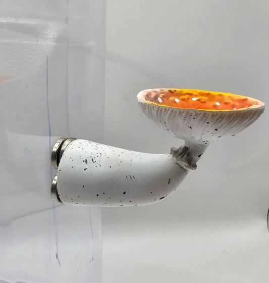 Amanita Mushroom Ledges