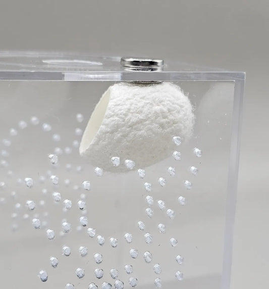Silk Cocoon Hide
