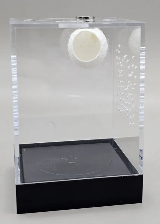 Silk Cocoon Hide