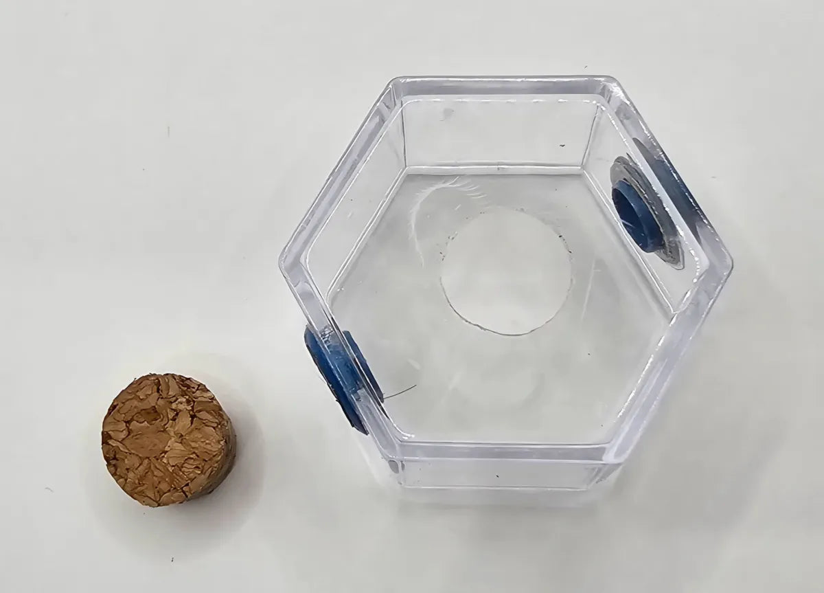 Mini 2" Vented Sling Hexagon Bottom Opening Enclosure (With Feeding Hole)