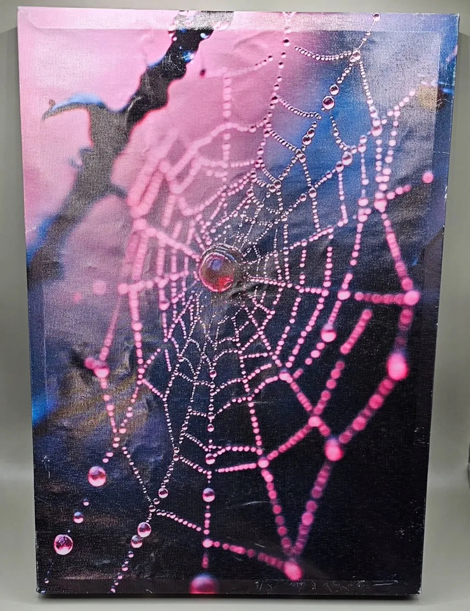 Framed Spider Web Canvas