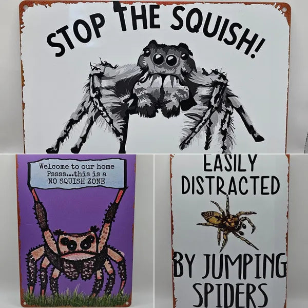 Spider Tin Signs (Multiple Styles!)