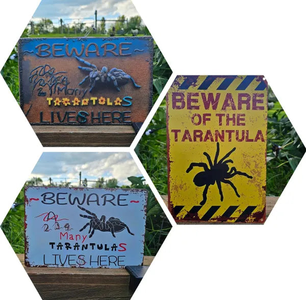 Spider Tin Signs (Multiple Styles!)
