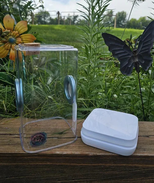 Large Bottom Opening Enclosure (With Feeding Hole)