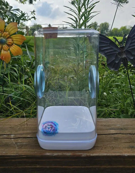 Large Bottom Opening Enclosure (With Feeding Hole)