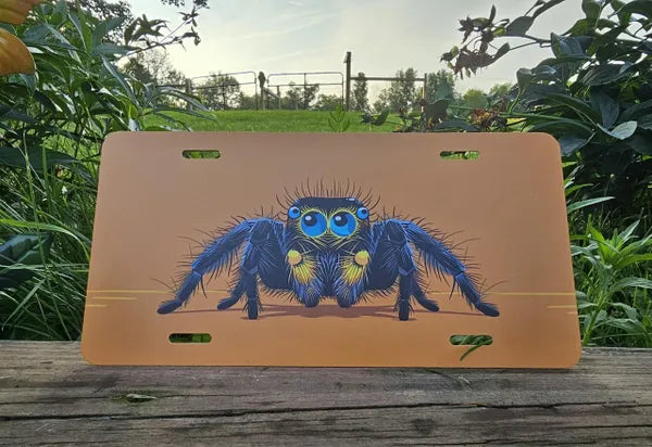 Jumping Spider License Plate