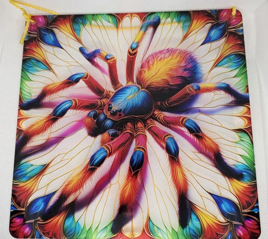Rainbow Spider Acrylic Sign