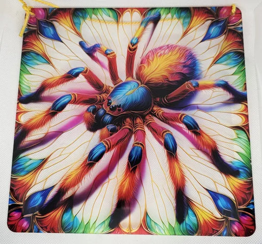 Rainbow Spider Acrylic Sign