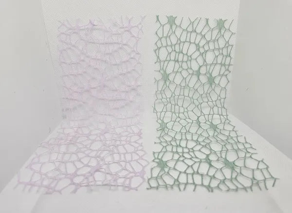 Jumping Spider & Mantis Webbing Ribbon