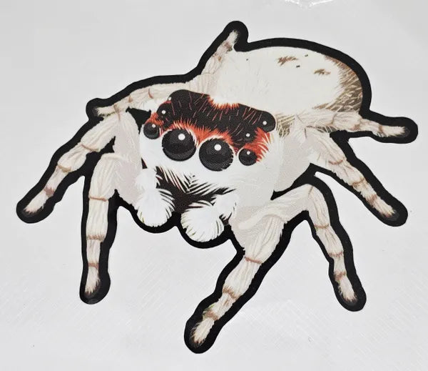 White Jumping Spider Decal