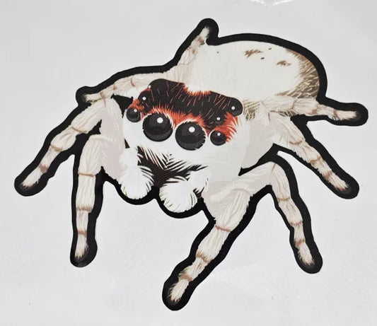 White Jumping Spider Decal