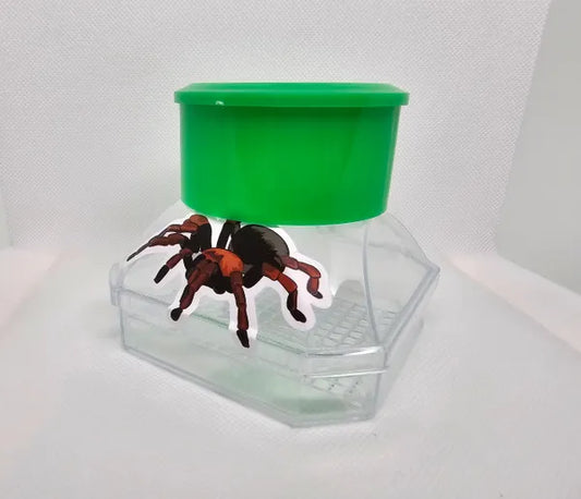 Spood Viewer (Magnifier)